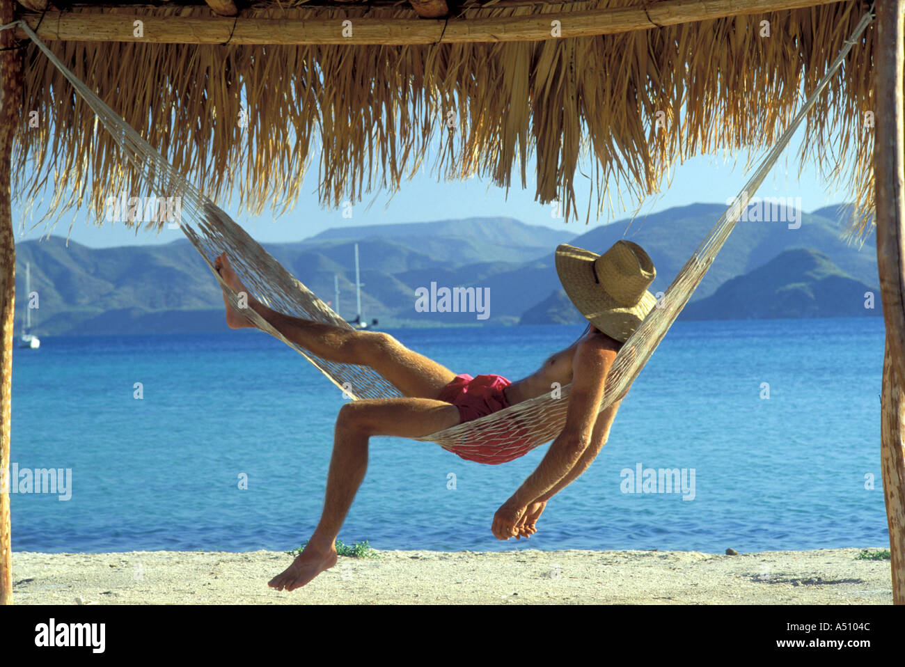 Man relaxing in hammock under thatched palapa Mulege Baja California Mexico Stock Photo
