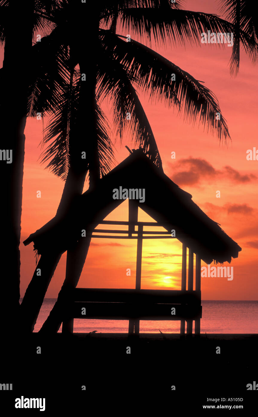 Small thatched hut and palm trees seen at sunset Kei Islands Maluccu eastern Indonesia Southeast Asia Stock Photo