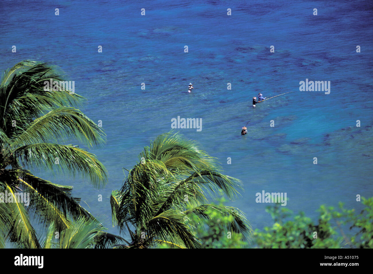 Overview of men fishing and coconut trees on the island of Lombok in eastern Indonesia Southeast Asia Stock Photo