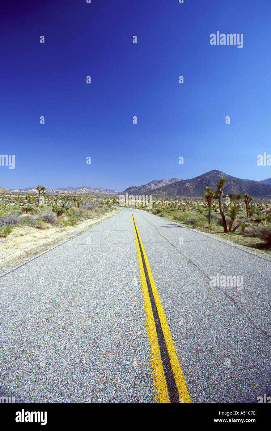 Straight desert road Joshua Tree National Monument California USA Stock Photo