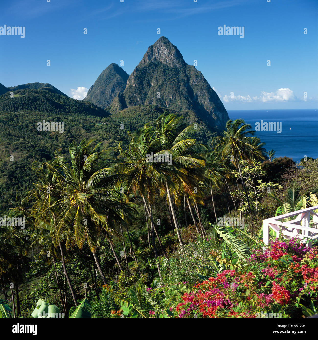 View over valley and palm trees to Petit and Gros Piton mountain peaks