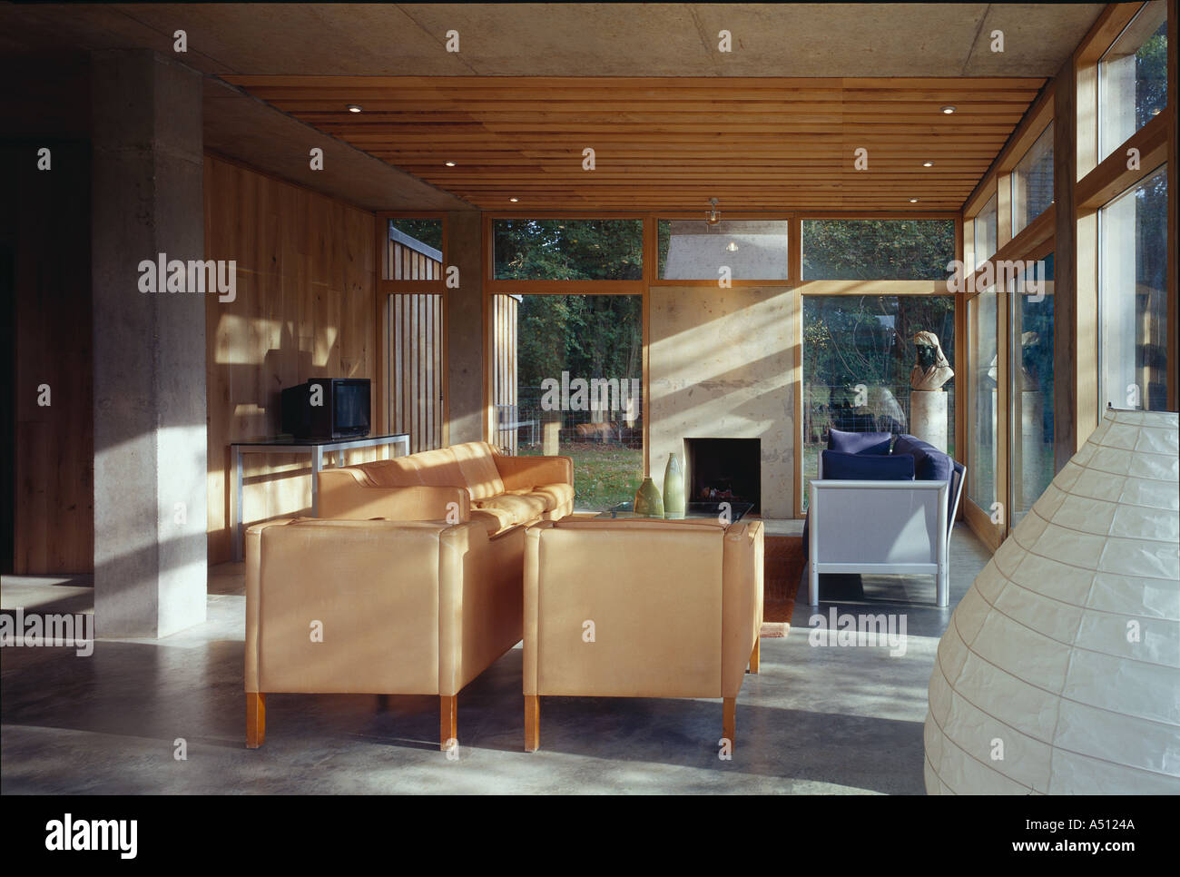 The Lodge, Whithurst Park - house interior -  lounge with sunlight. Architect: James Gorst Architects Stock Photo