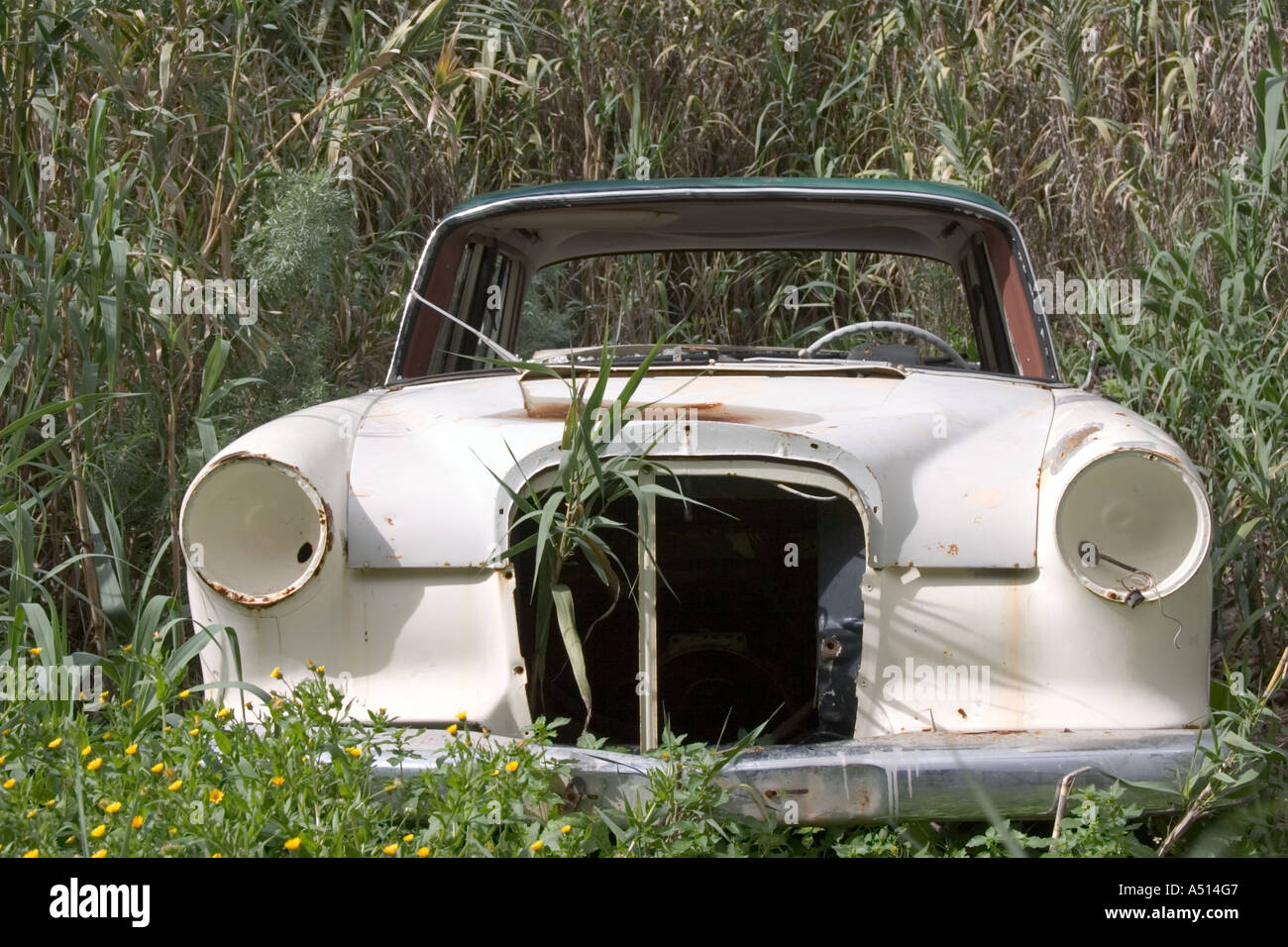 Dumped car overgrown by plants hi-res stock photography and images - Alamy