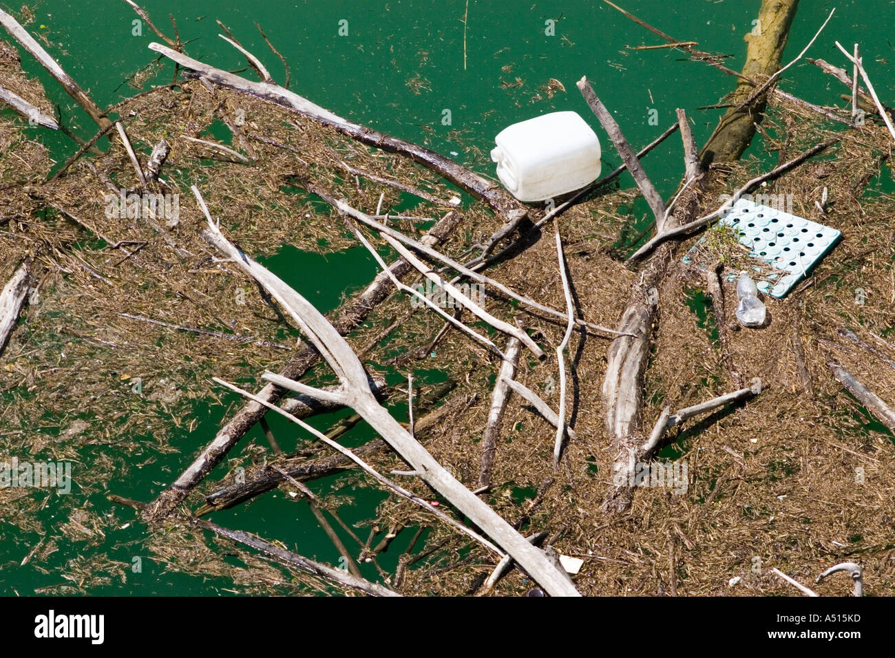 Debris floating in water Stock Photo Alamy