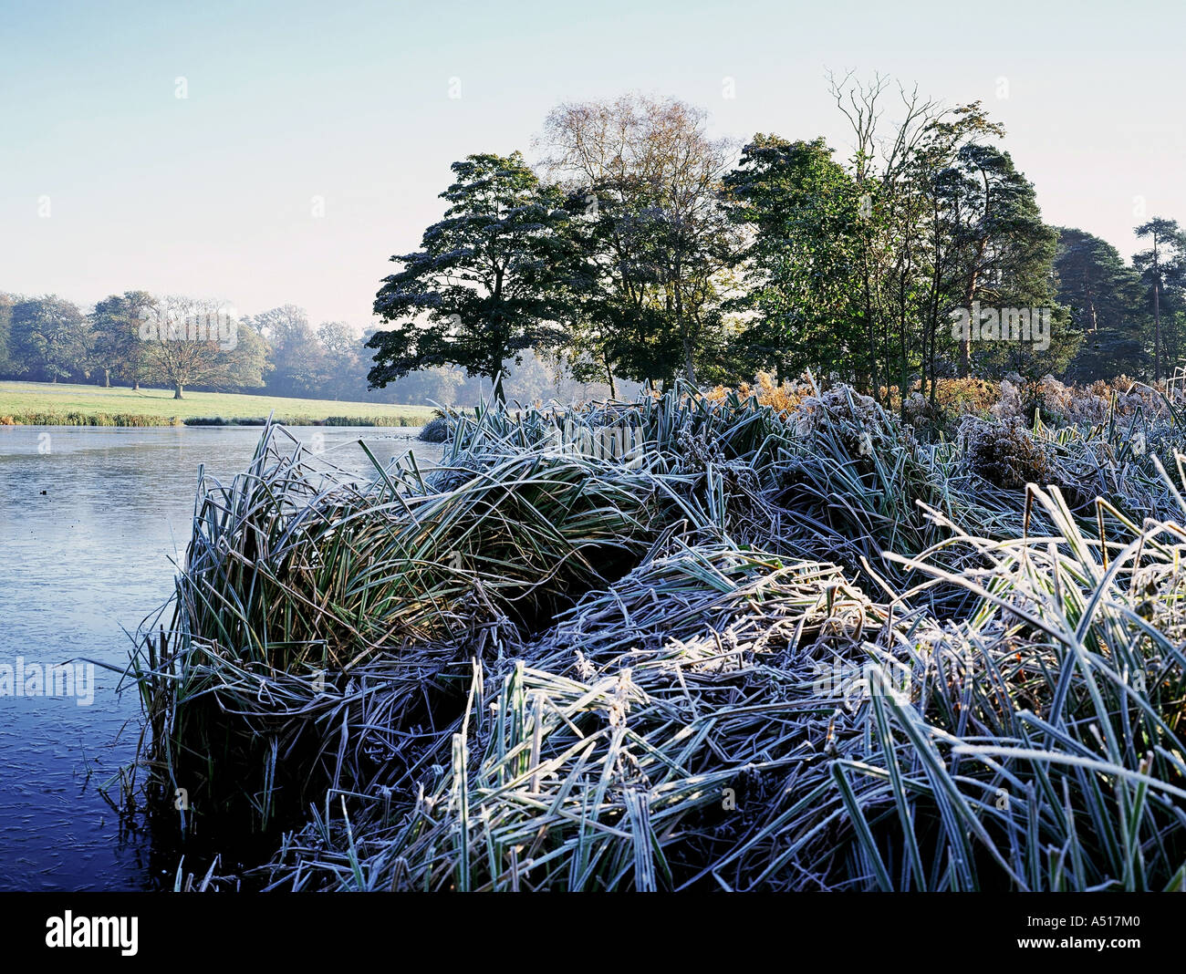 Frosty lake Berkswell Warwickshire Stock Photo