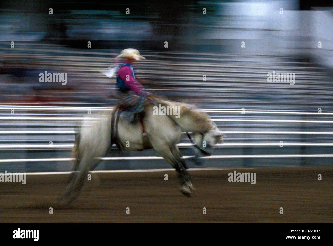 Cowboy riding bucking bronco Stock Photo