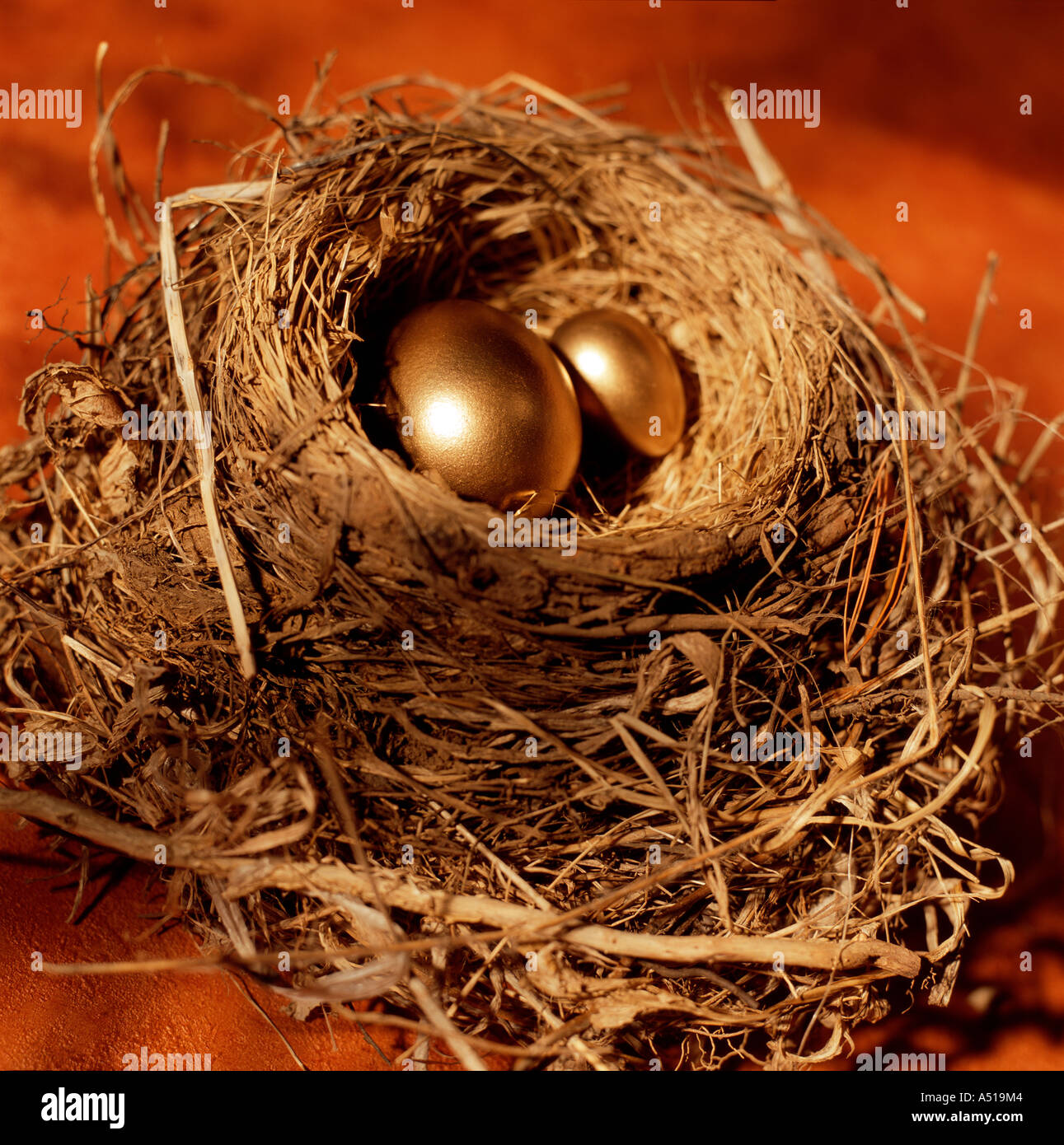 Golden eggs in nest. Stock Photo