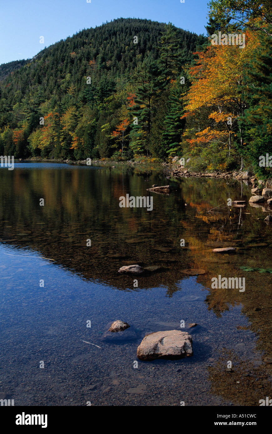 Scenic autumn hills trees hi-res stock photography and images - Alamy