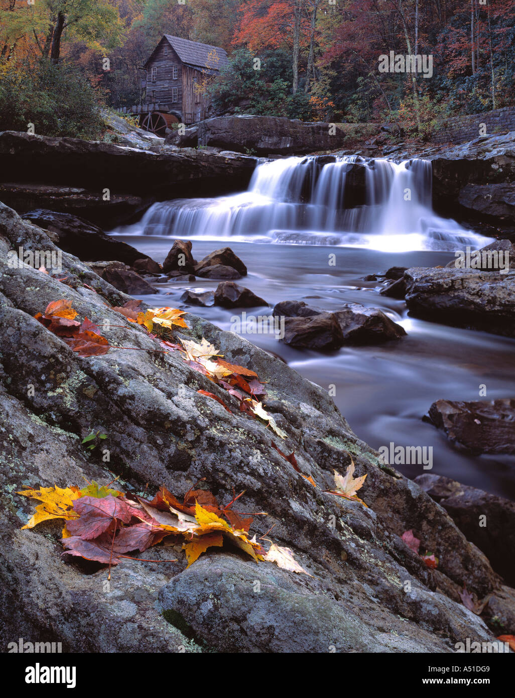 Babcock State Park, West Virginia, USA Stock Photo - Alamy