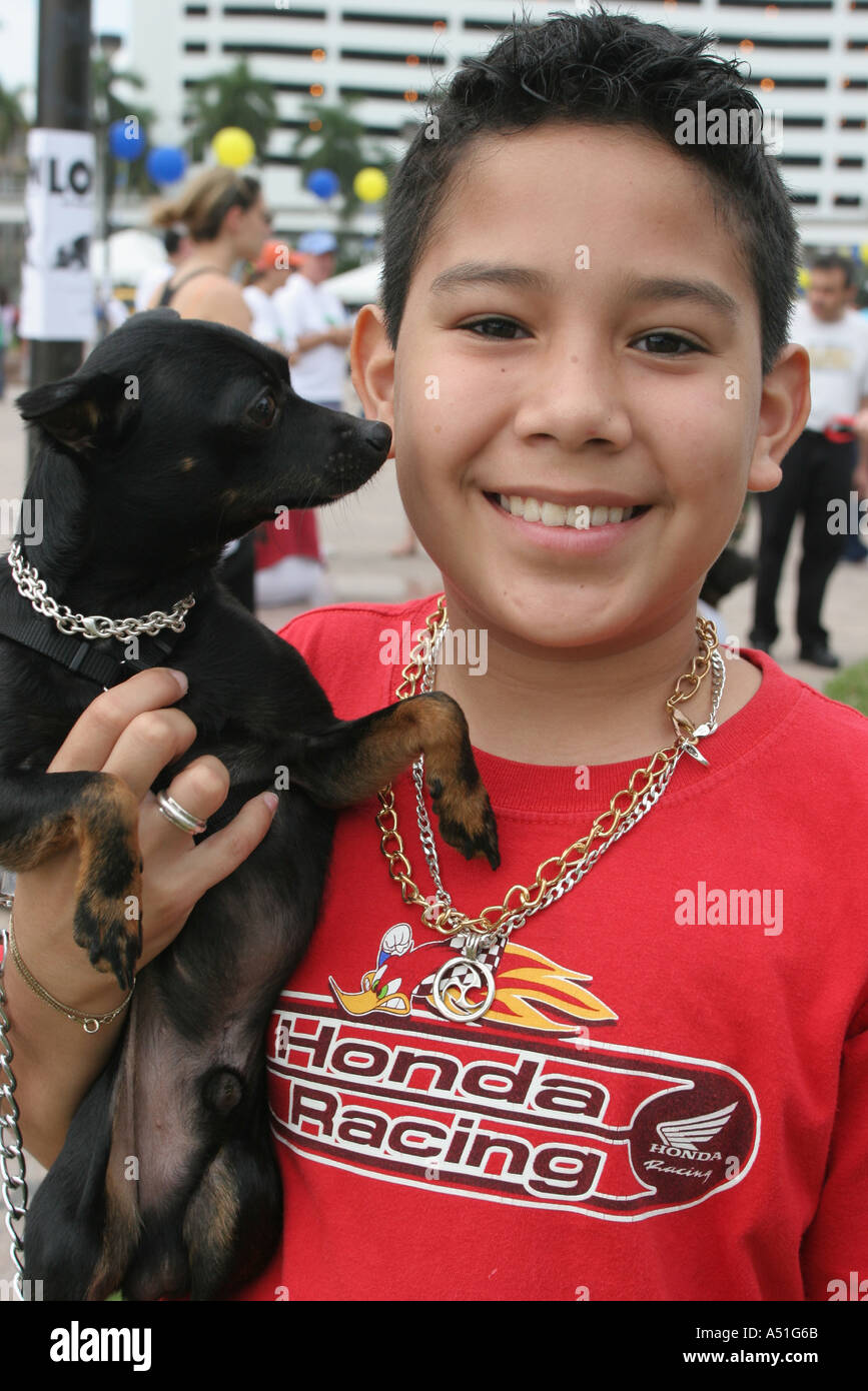 Miami Florida,Bayfront Park,Walk for the Animals,Humane Society event,dog dogs,pet pets,canine,animal,Hispanic Latin Latino ethnic immigrant immigrant Stock Photo