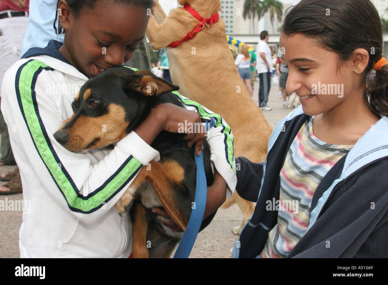 Miami Florida,Bayfront Park,Walk for the Animals,Humane Society event,dog dogs,pet pets,canine,animal,Black Blacks African Africans ethnic minority,ad Stock Photo