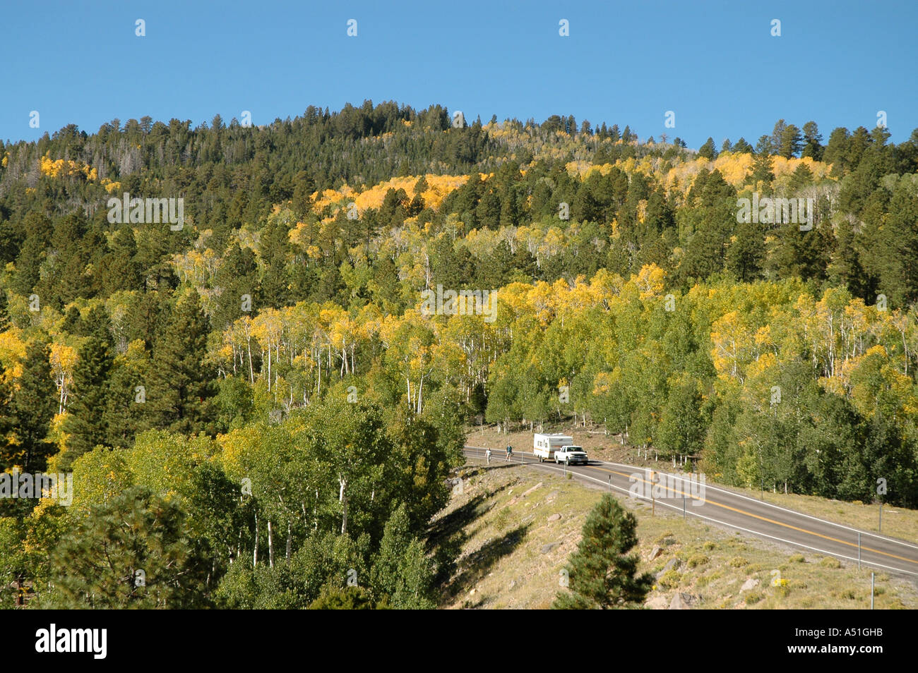 Utah fall color change yellow leaves camping trailer RV winding road in forest wilderness Stock Photo