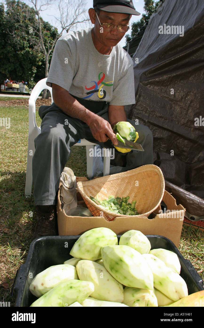 Miami Florida,Homestead,Fruit and Spice Park,Asian Culture Festival,festivals,celebration,fair