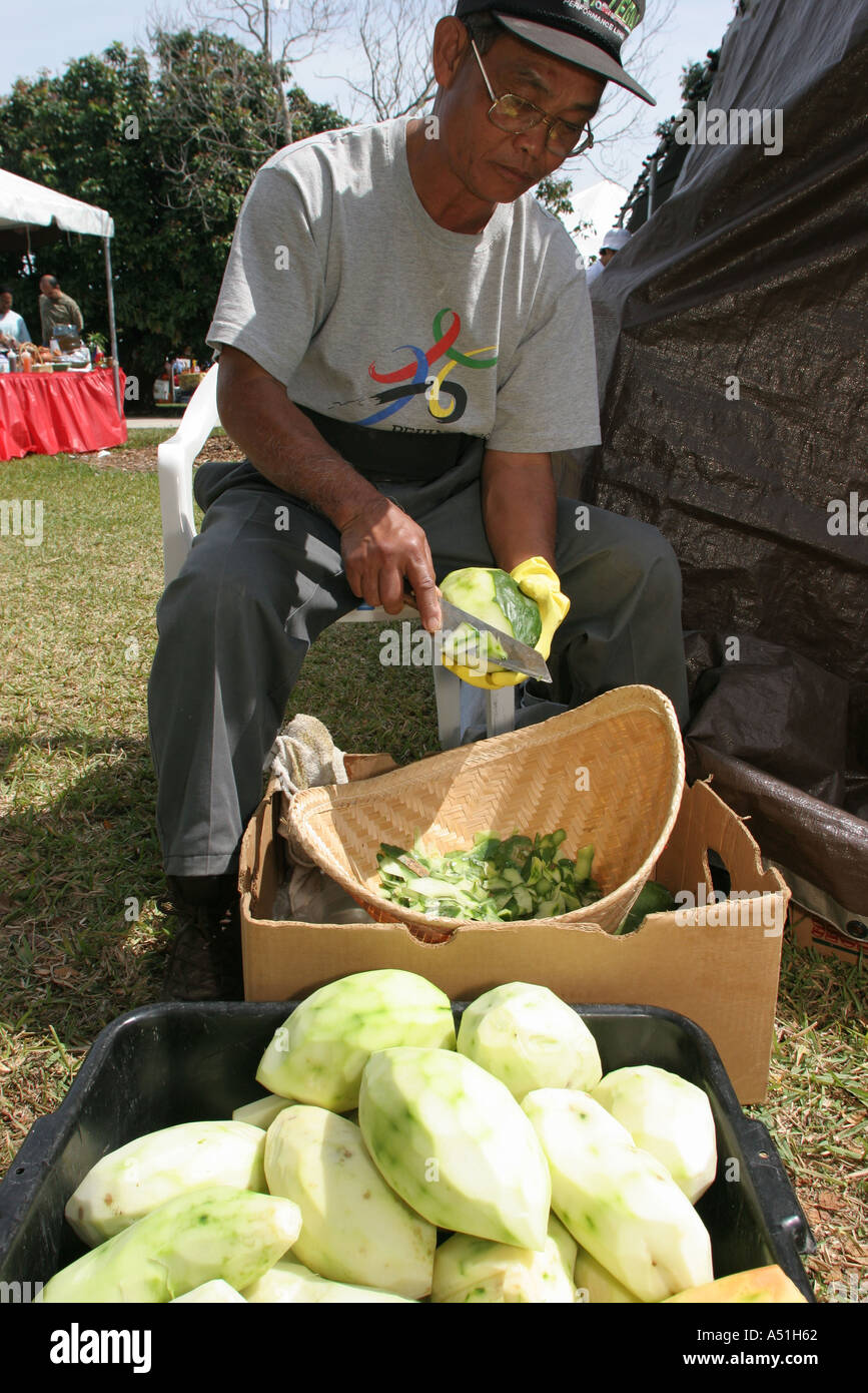 Miami Florida,Homestead,Fruit and Spice Park,Asian Culture Festival