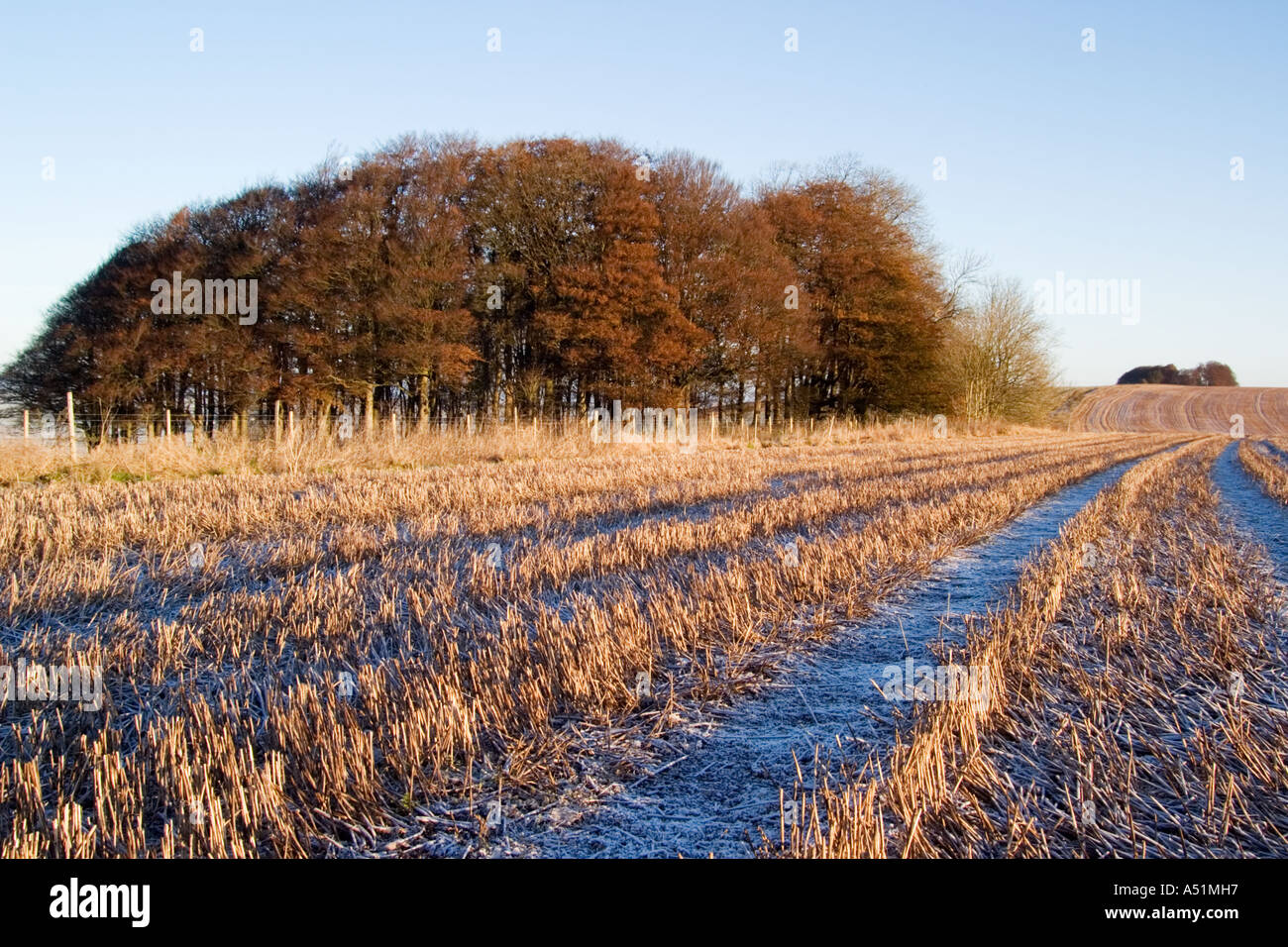 The ridgeway wiltshire winter hi-res stock photography and images - Alamy