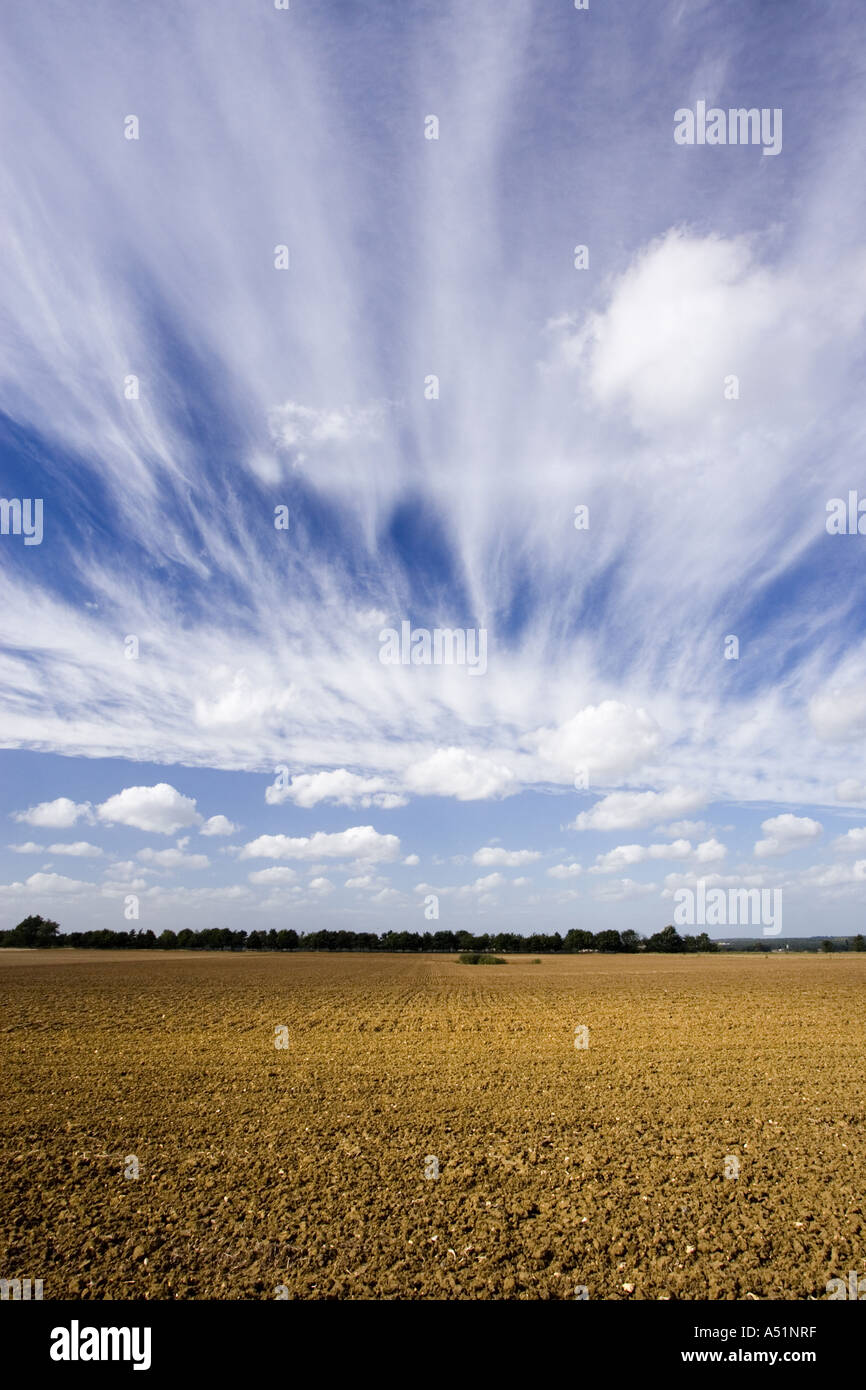 ploughed field in Suffolk, UK Stock Photo