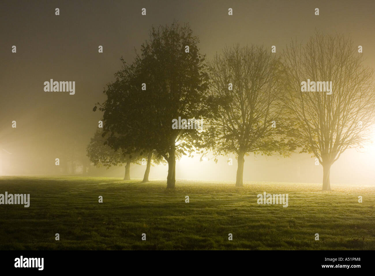 a foggy night in Suffolk, UK Stock Photo Alamy