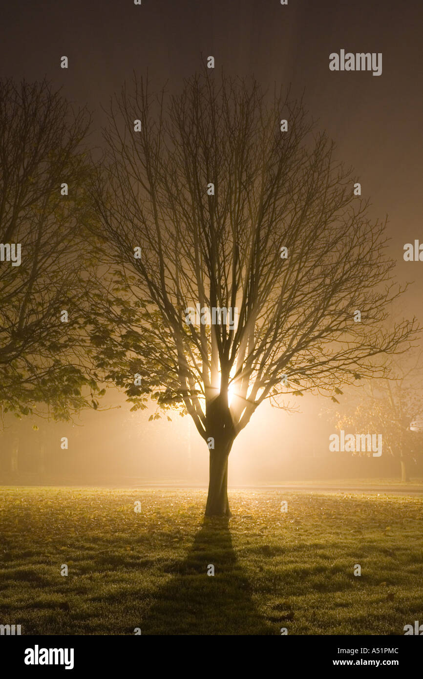 a foggy night in a village in Suffolk, UK Stock Photo