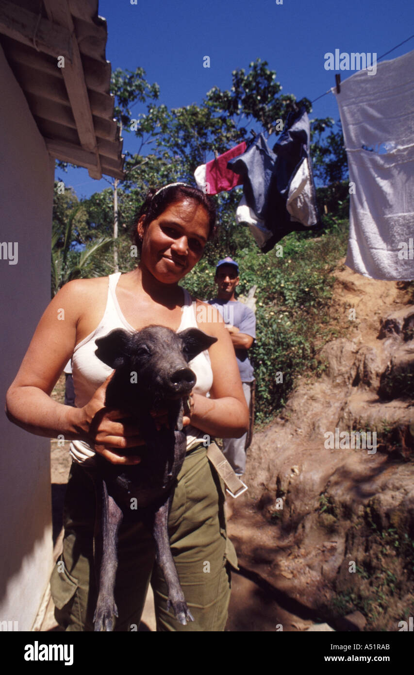 woman with pig Cuba Stock Photo Alamy
