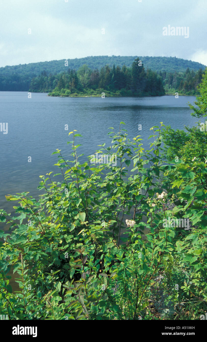 Stratton VT Stratton Pond Appalachian Trail Long Trail Stock Photo Alamy