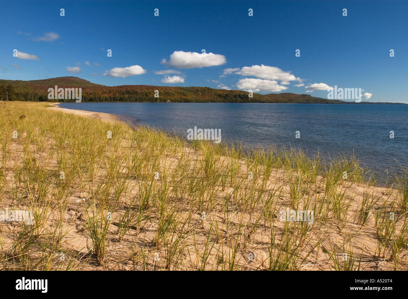 Bete grise beach hires stock photography and images Alamy