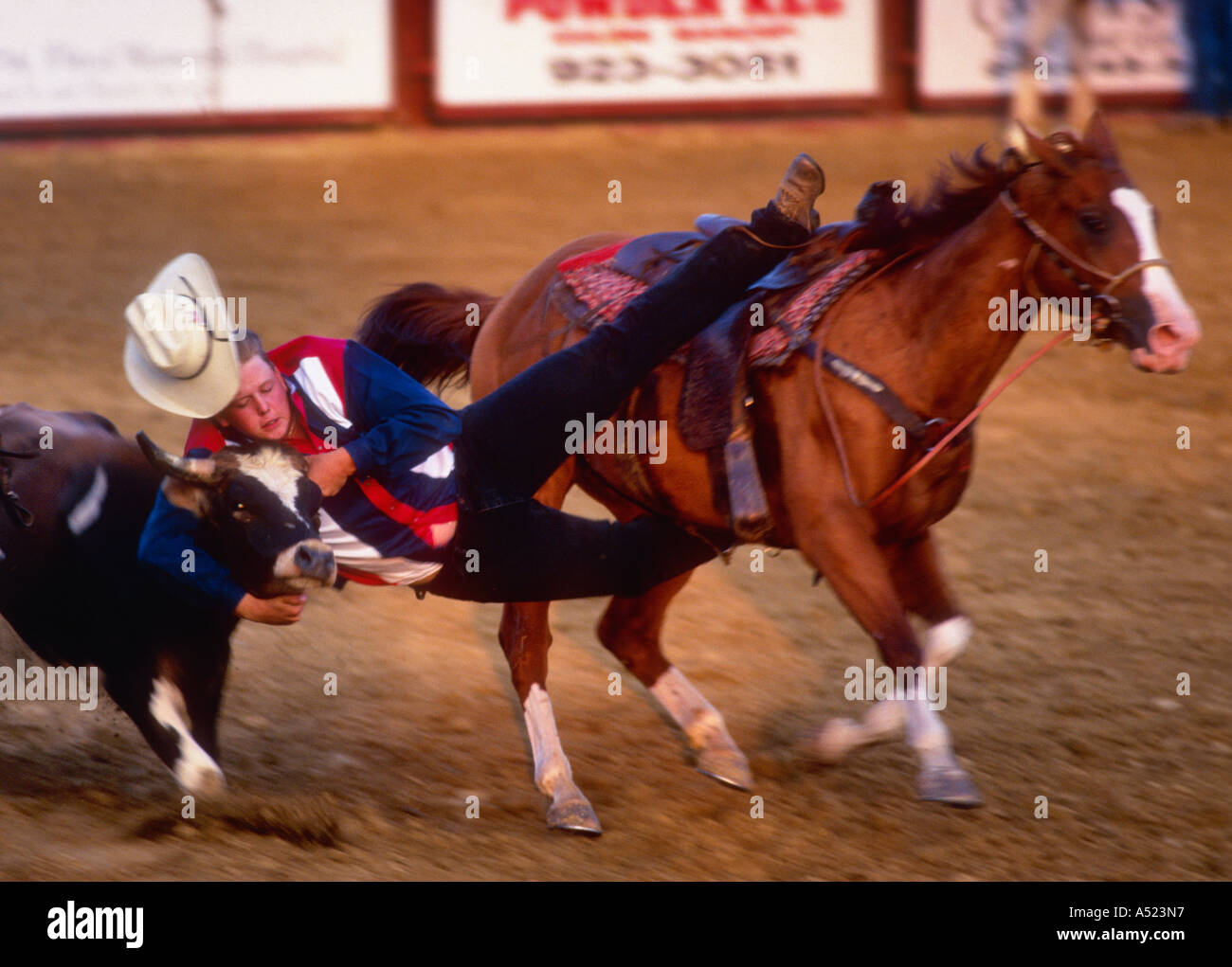 Cowboy Jumping From Horse and Wrestling Steer to the Ground at Small