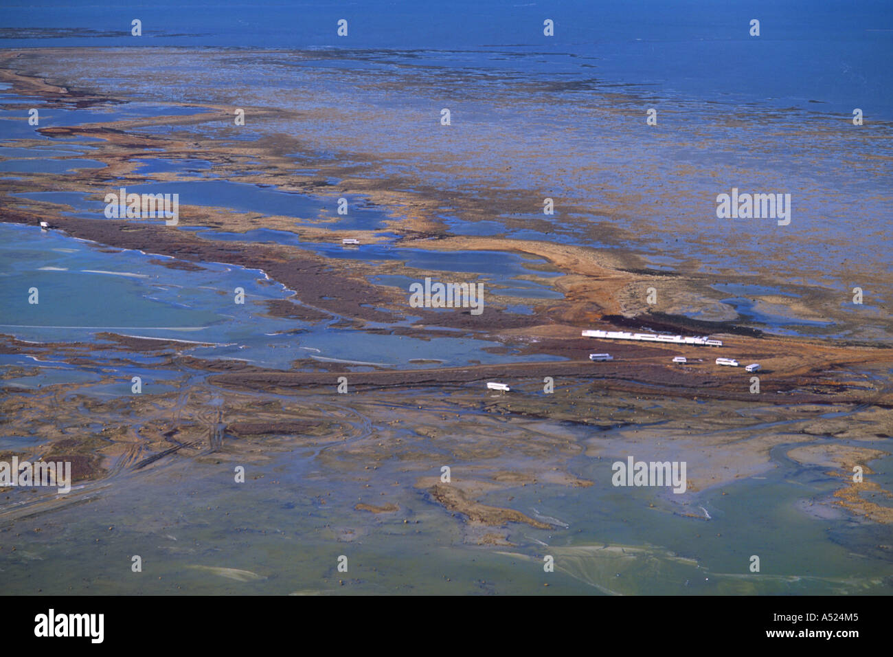 Tundra buggies hi-res stock photography and images - Alamy