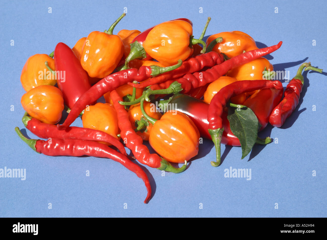 Assortment of hot chilli peppers cayenne piri piri peri peri stock photos Stock Photo