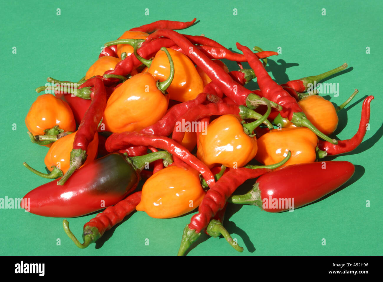 Red peppers hot spicy cayenne peppers stock photography Stock Photo