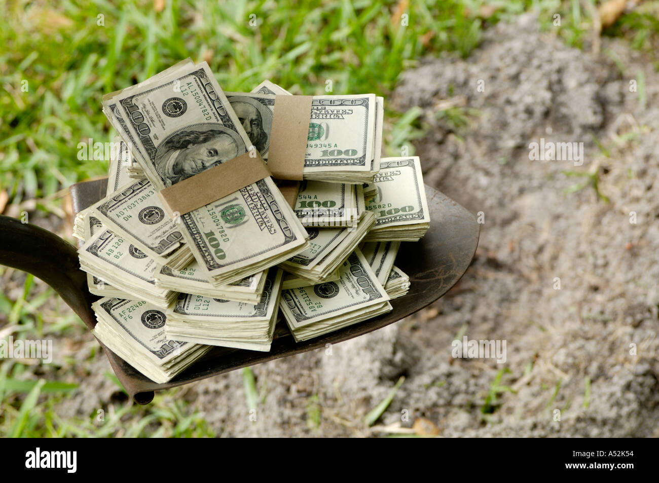 bundles of 100 dollar bills US being buried in back yard Stock Photo