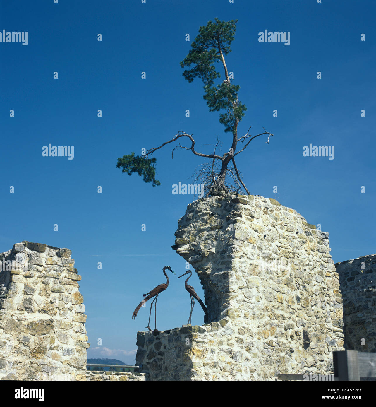 Reinsberg district of Scheibbs Lower Austria ruins of the castle Reinsberg stronghold rest of the walls with two cranes Stock Photo