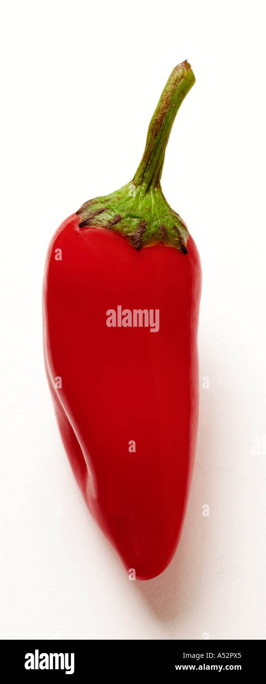 Red chili pepper outline hi-res stock photography and images - Alamy