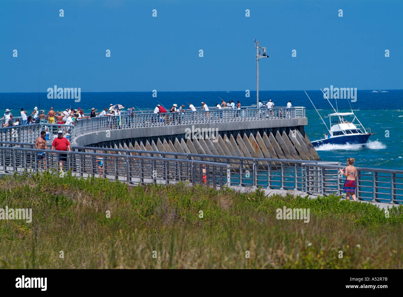 The Craziest Pier Fishing in America: Sebastian Pier, Florida 