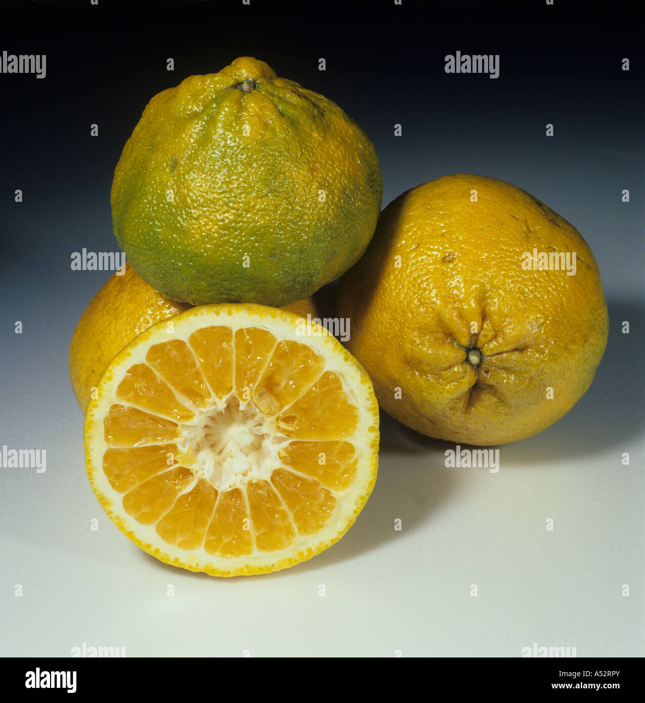 Whole and sectioned ugli fruit a cross between a tangerine and a grapefruit Stock Photo