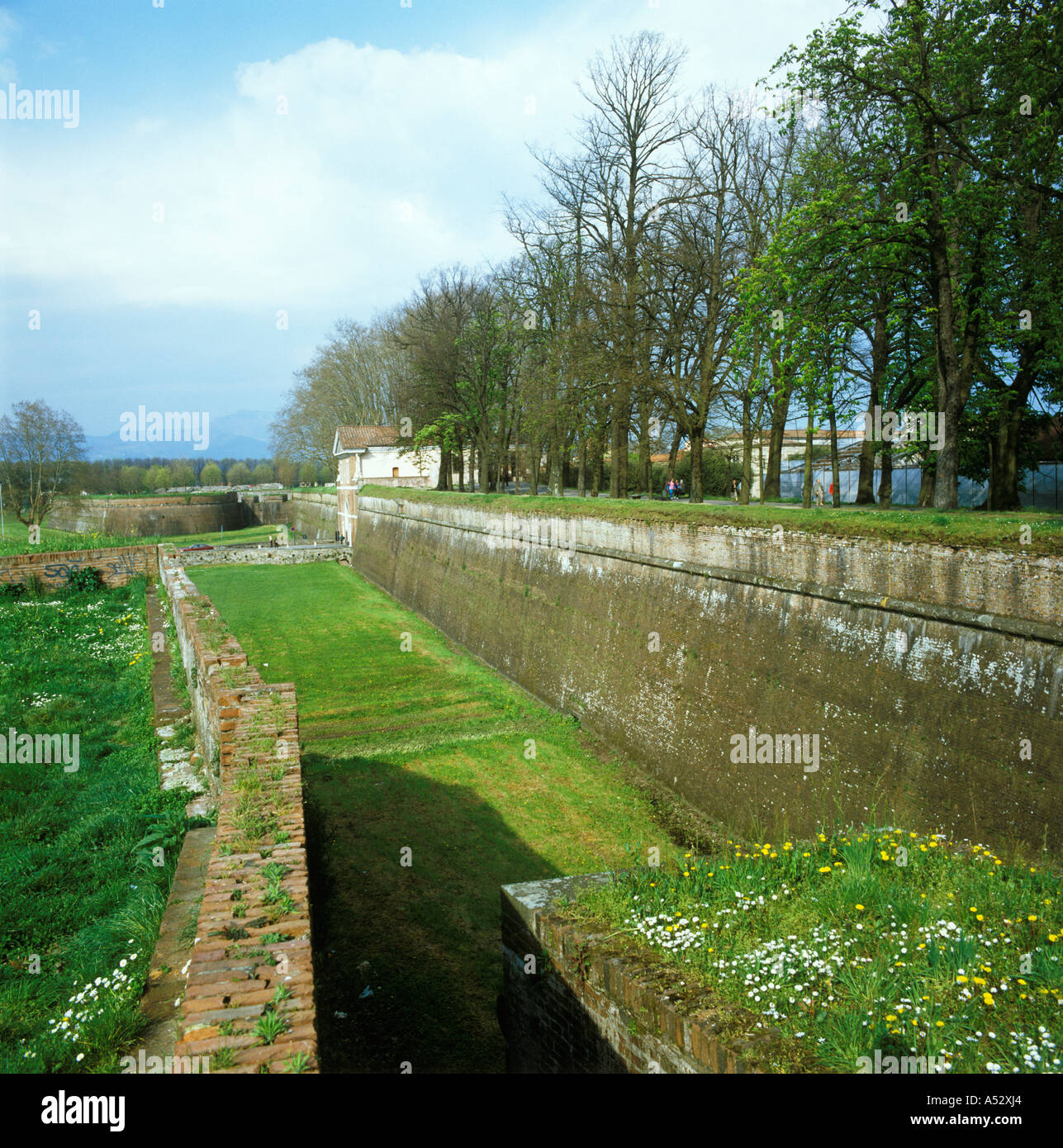 Lucca Toscana Italy Italia city wall of the 16. C Stock Photo Alamy