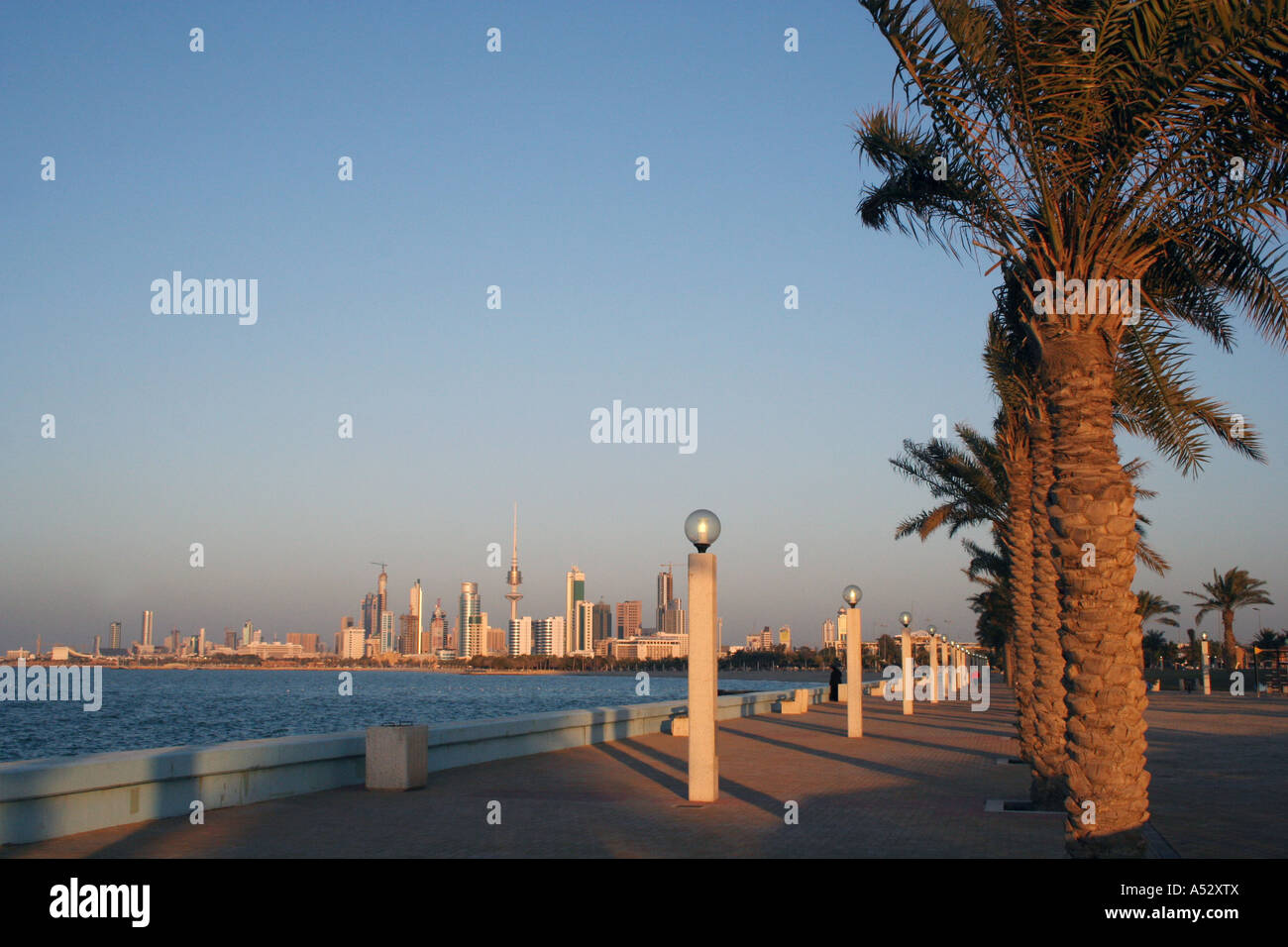 palmtree beach in kuwait Stock Photo Alamy