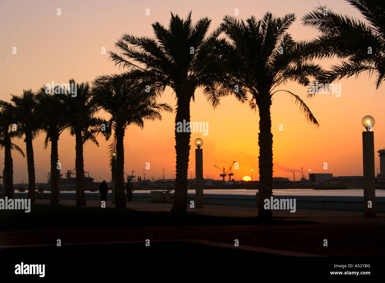 Palmtree sunset by arabian gulf Stock Photo Alamy
