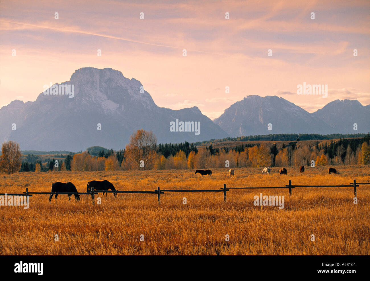 Walter jackson hires stock photography and images Alamy