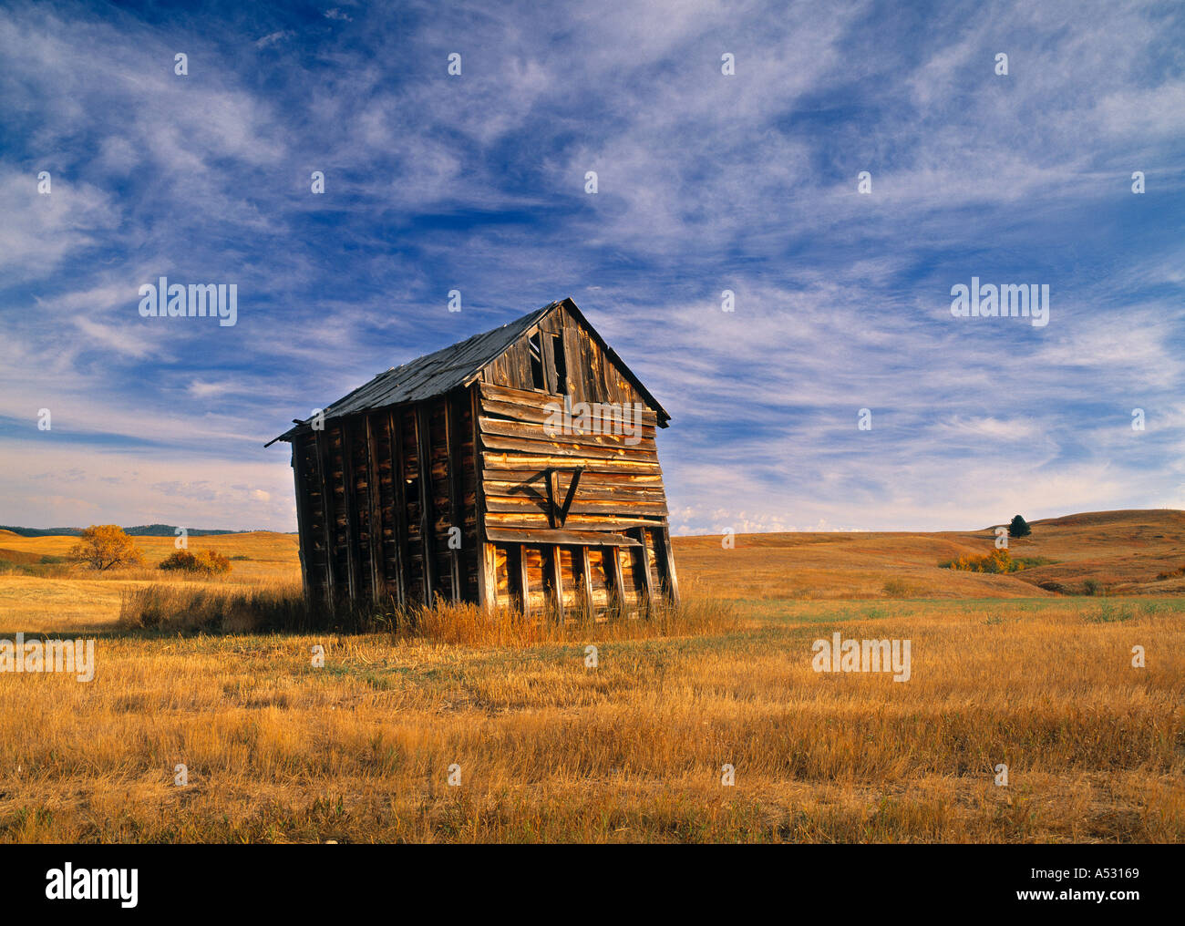 Old Barn, Sundance, Wyoming, USA Stock Photo Alamy