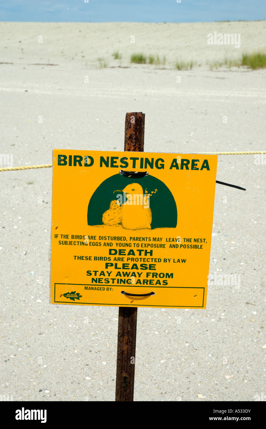 A beach sign warning people of nesting activity by endangered birds.  the beach is property owned by The Nature Conservancy in C Stock Photo