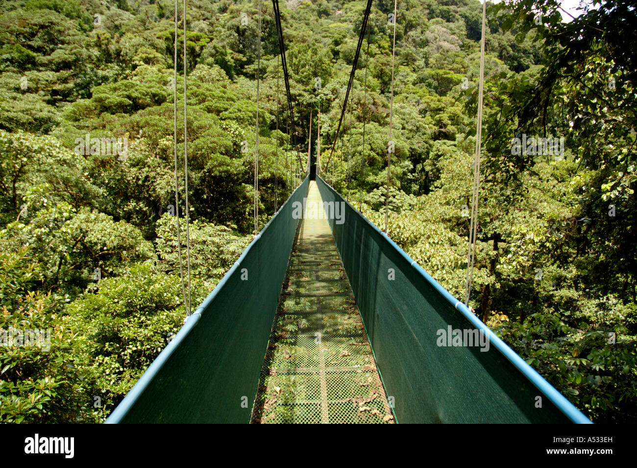 Rainforest canopy walkway bridge hiking trail monteverde cloudforest Costa Rica Stock Photo