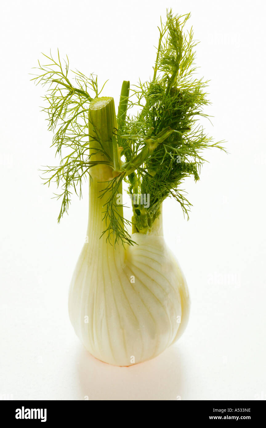 Fennel bulb with leaves Stock Photo Alamy