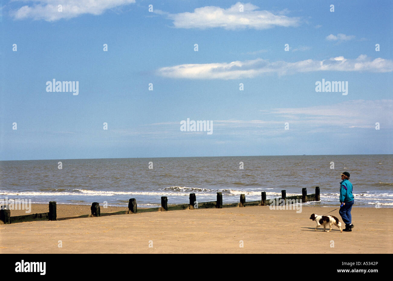 Woman walking her dog on the beach at Frinton-on-sea, Essex, UK. Stock Photo