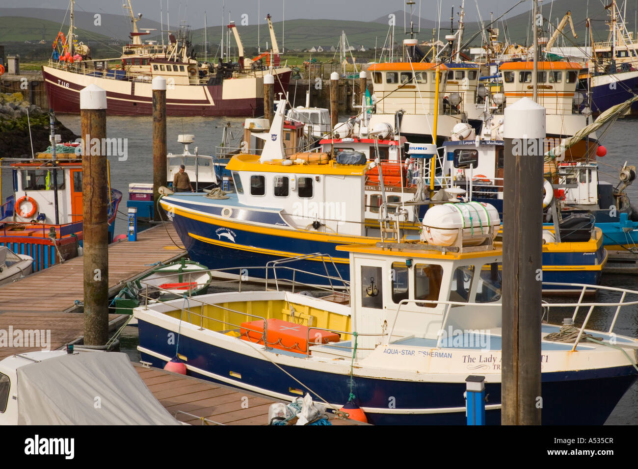 Natural harbour fishing port with colourful fishing Eco tour boats on Dingle Peninsula Dingle Co Kerry Eire Stock Photo