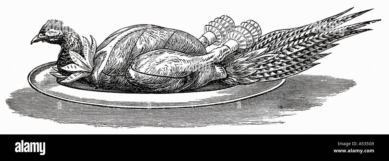 Pheasant on silver platter illustration Stock Photo