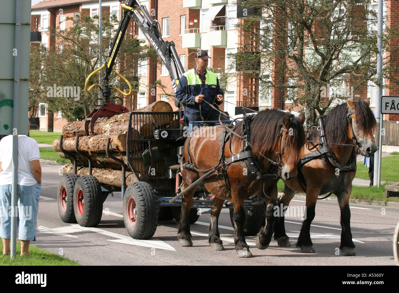 Working horses pulling a wagon full of logs, Sweden Stock Photo Alamy