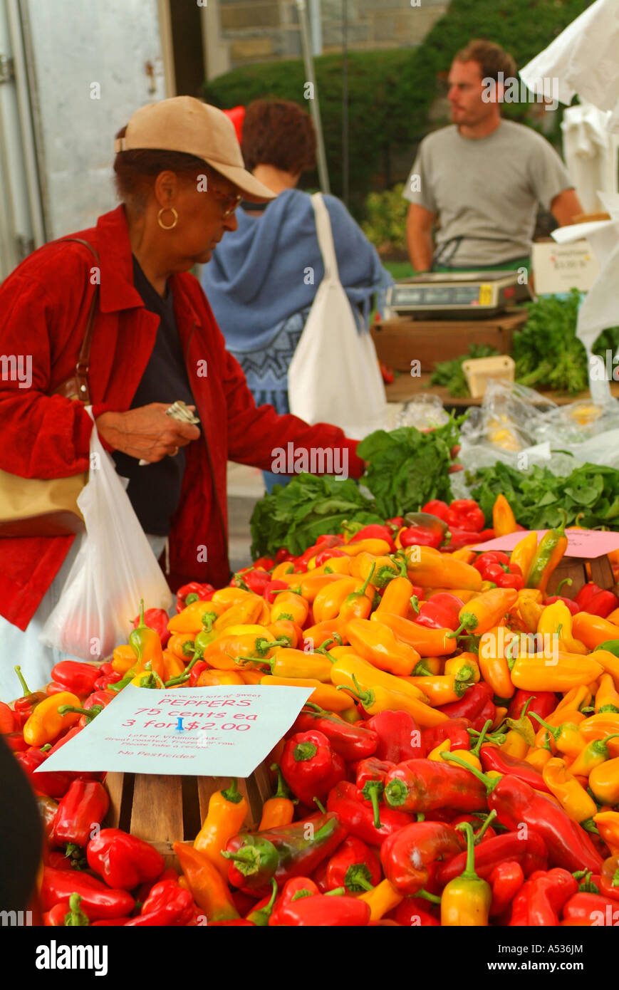 Saturday Morning Farmers Market at Tokoma Park Maryland Stock Photo