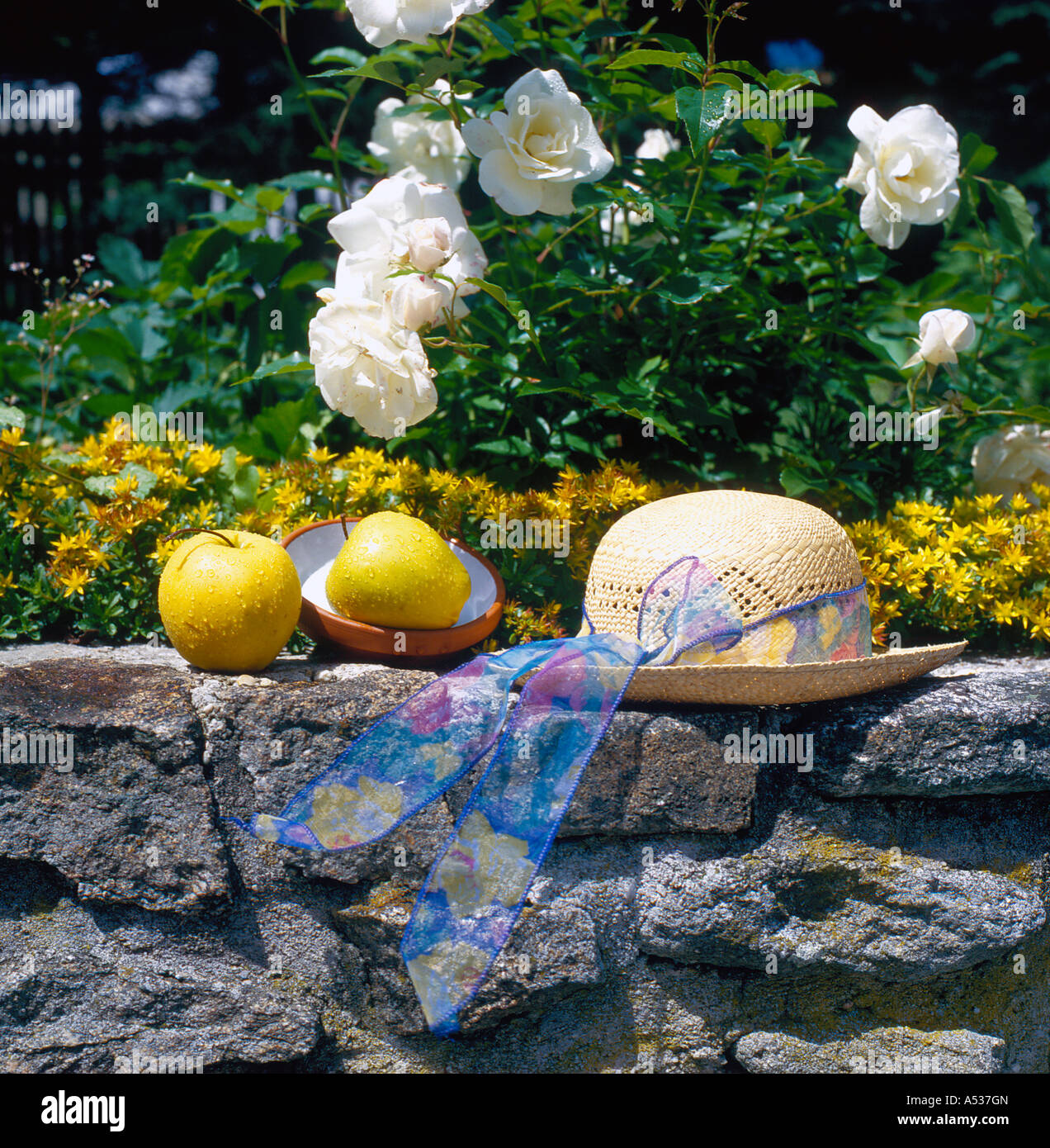 straw hat and  apples  on  stone wall in garden at summertime. Photo by Willy Matheisl Stock Photo
