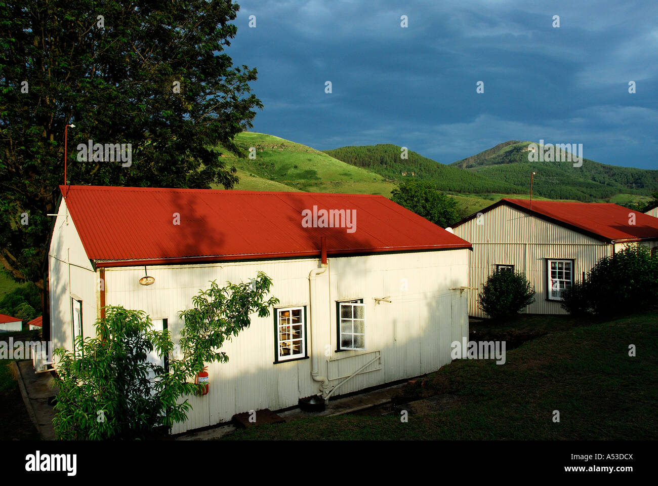 Red Roofed Old Miner S Cottage Called District Six In Pilgrim S