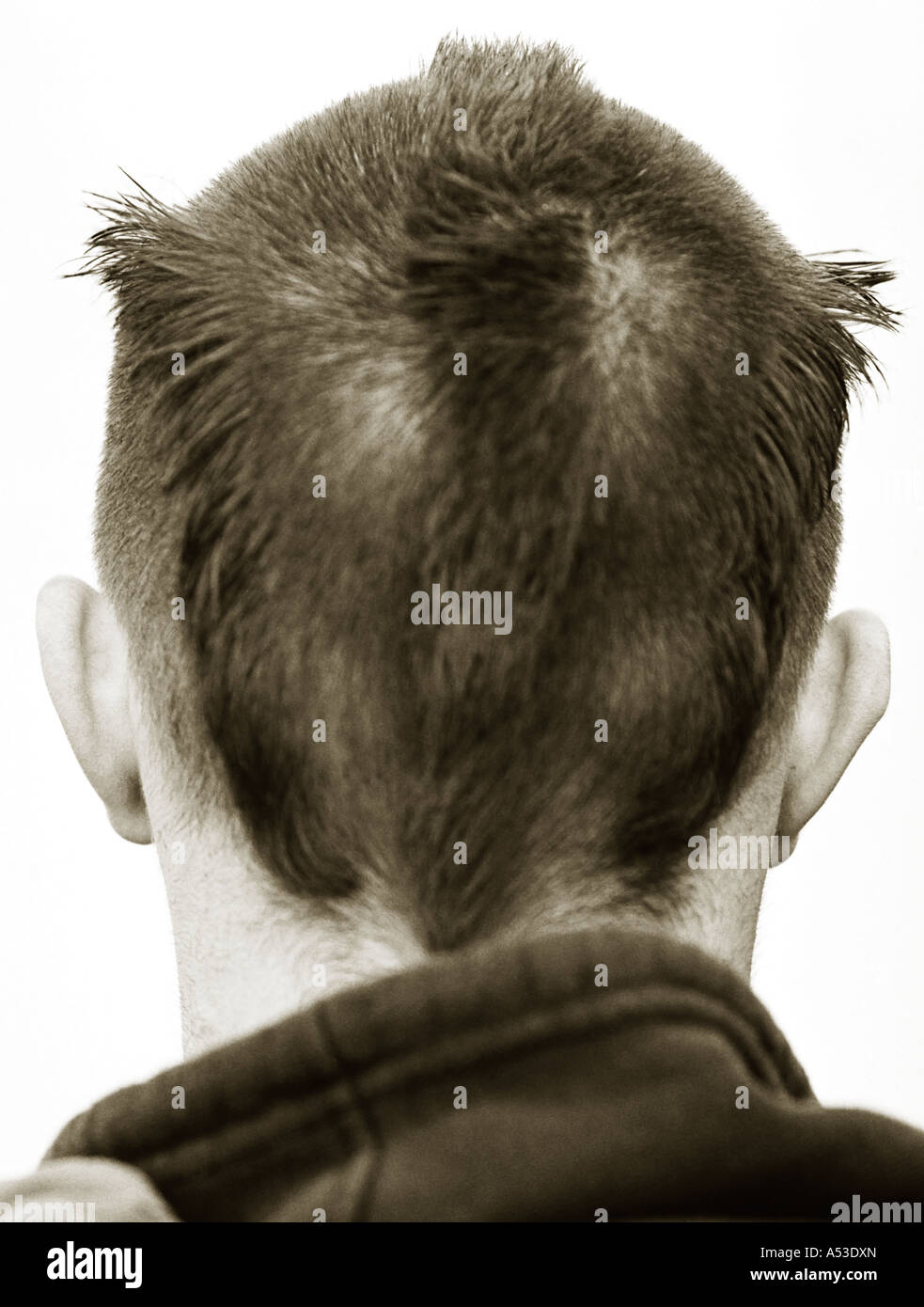 Tinted black and white portrait of back of head of young man. Stock Photo